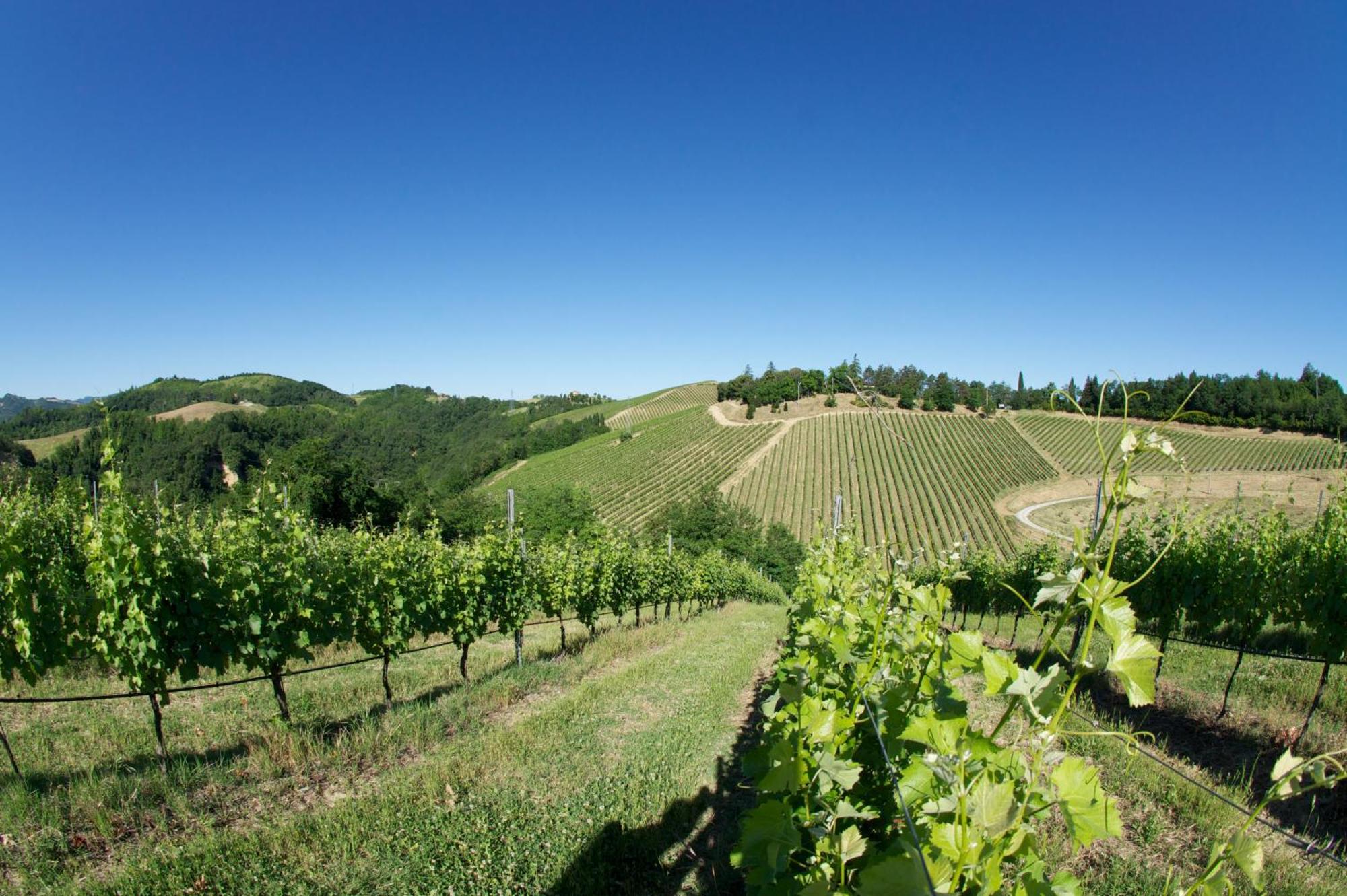 Podere Riosto Cantina&Agriturismo Pianoro Exterior foto